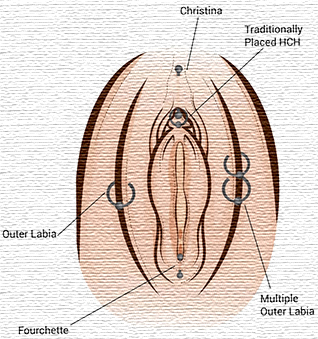 Female Genital Piercings