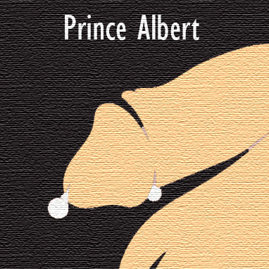 Prince Albert